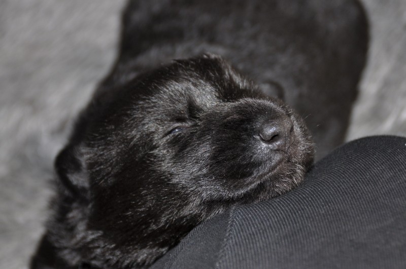 028 (2) (800x531).jpg