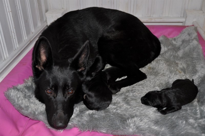 B-kullen 012 (800x531).jpg